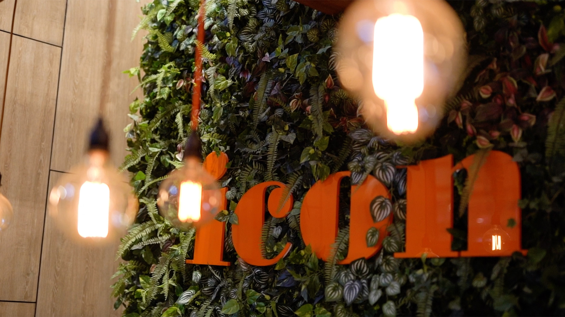 Screen-Shot-2022-02-16-at-11